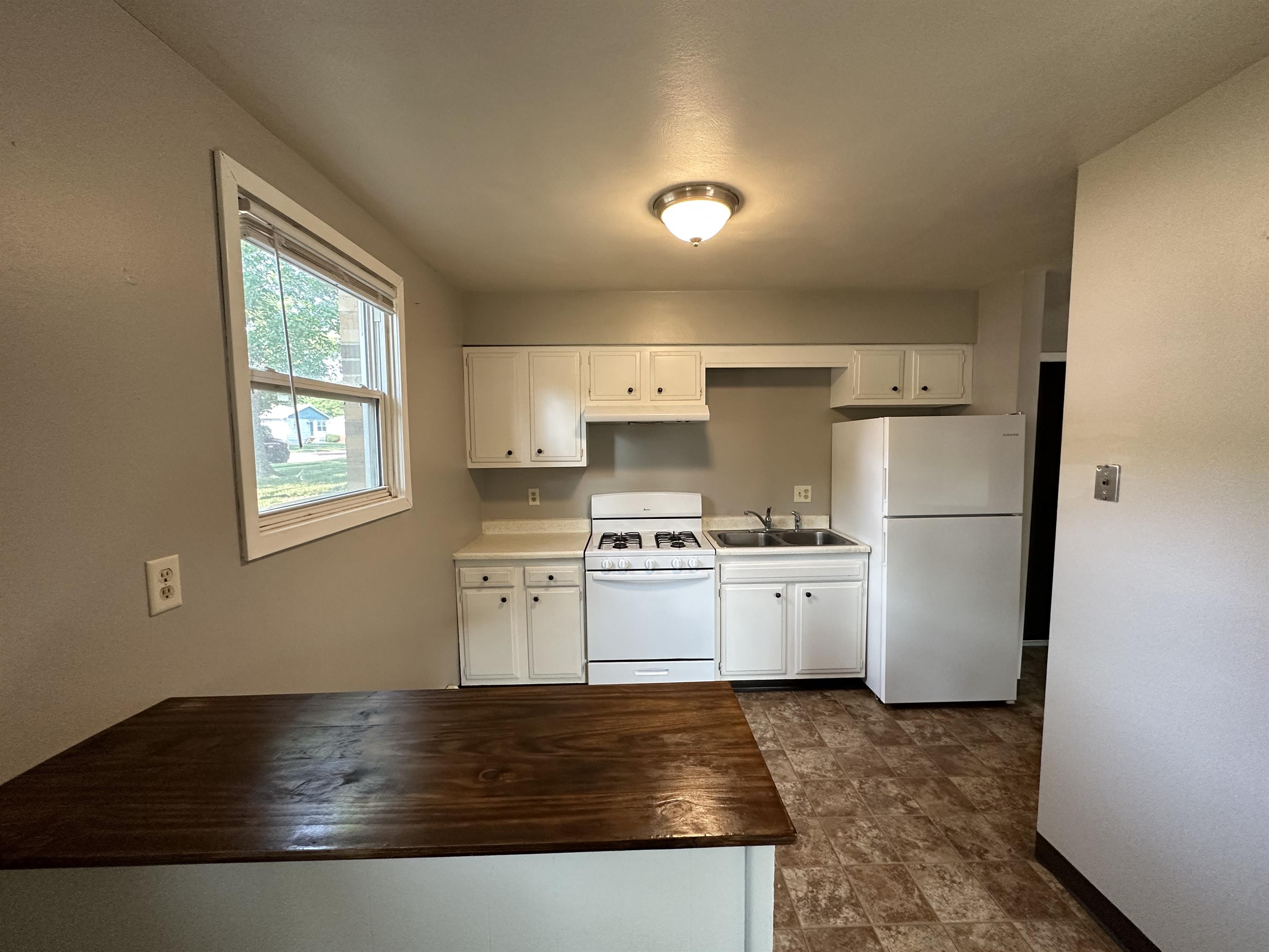 1015 West Clark Street - 13